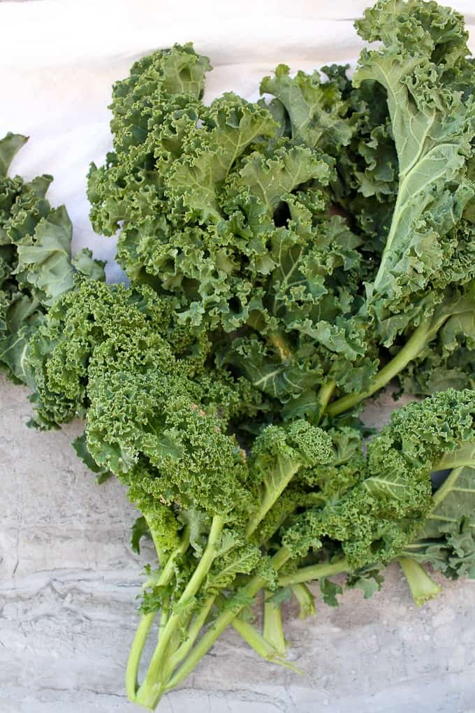 A large bunch of kale