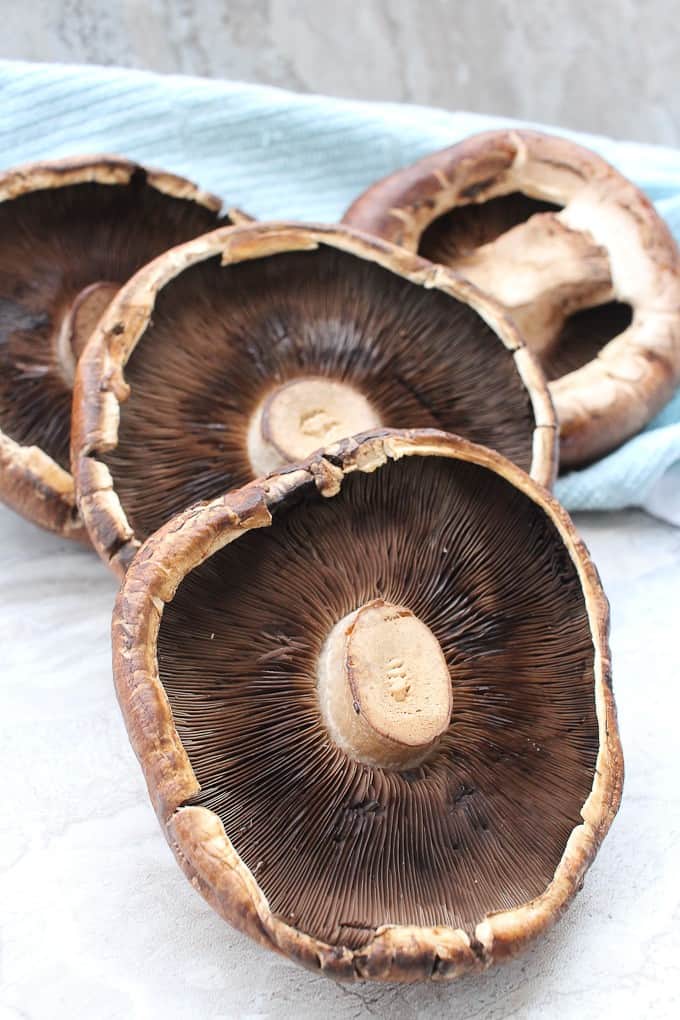 Large portobello mushrooms for portobello wellington / mushroom wellington