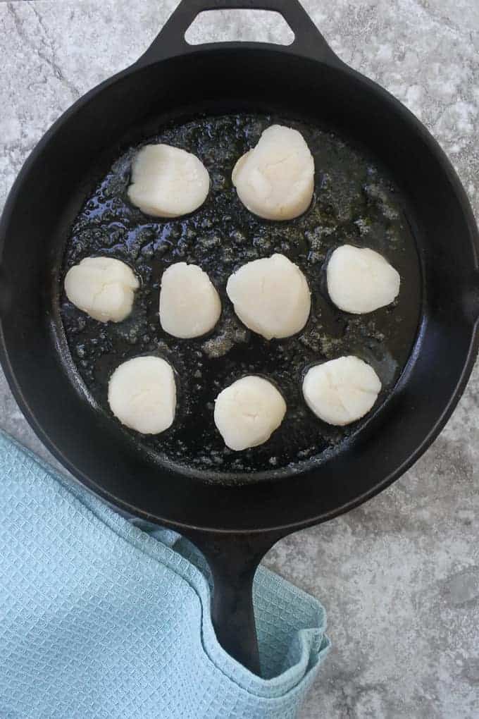 sea scallops in a cast iron pan.