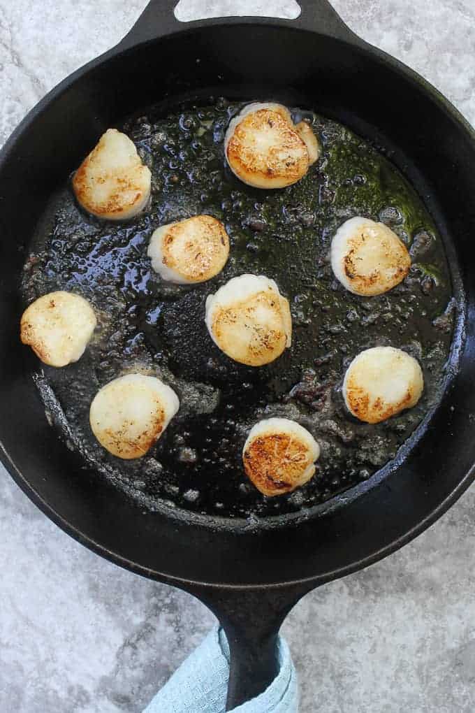 browned sea scallops in a cast iron pan.