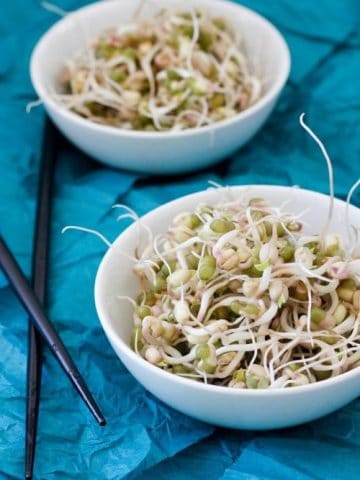 How to Grow Mung Bean Sprouts
