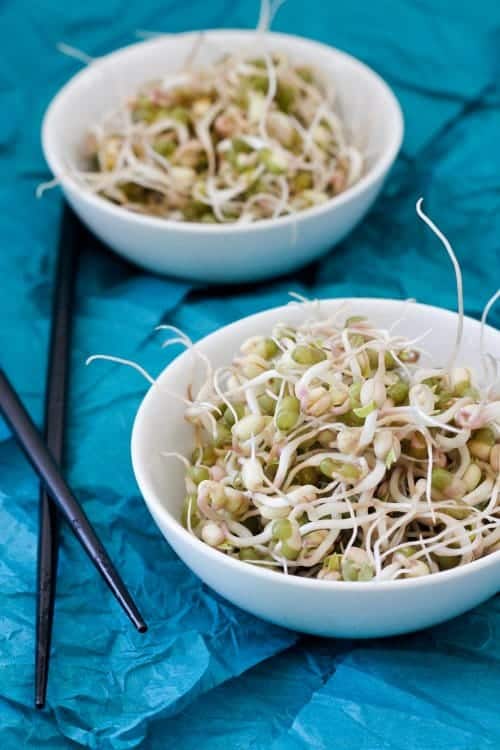 Sprouted Mung Beans in small bowls with chopsticks on the side.