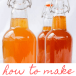 Do you want to learn How to Make Kombucha? This easy recipe tutorial for beginners will walk you through how to ferment tea, how to process a second fermentation for carbonation, how to add flavor, how to continuous brew kombucha, and what bottles to use.