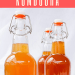 Want to learn how to make kombucha? This tutorial will walk you through each step, plus check out our tips on equipment, carbonating, continuous brew, and more!