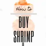 graphic w an image of shrimp + text "how to buy shrimp"