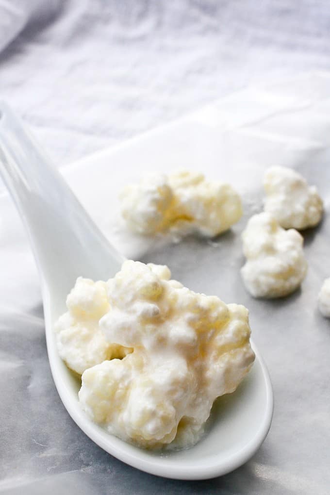 Kefir Grains on a white spoon and on a counter-top