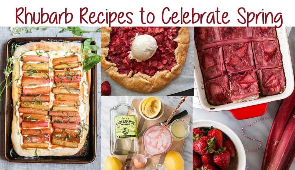 These Rhubarb Recipes help you welcome spring with one of nature's prettiest veggies-- rhubarb!  These Rhubarb drinks, meals, and desserts will help you make the most of this pink vegetable's short season.