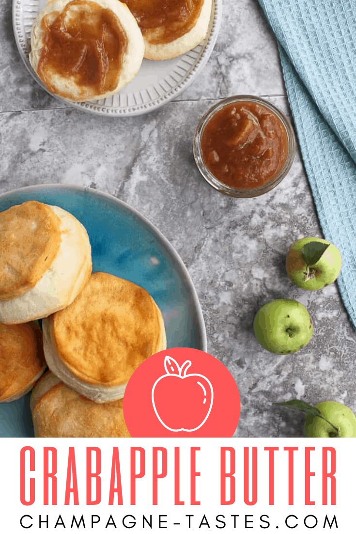 Crabapple Recipe Slow Cooker Apple Butter Champagne Tastes®