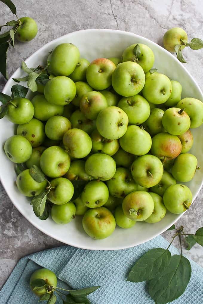 Crabapple Recipe Slow Cooker Apple Butter Champagne Tastes