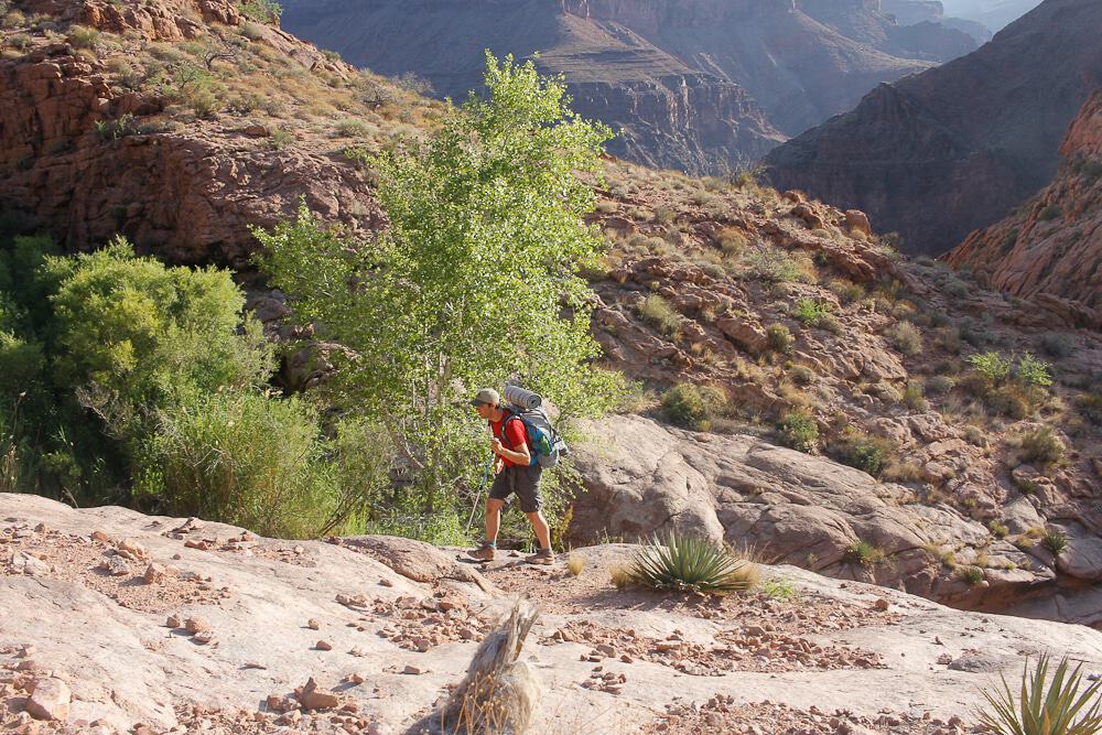 Hiker with backpack and trekking pole in the Grand Canyon.