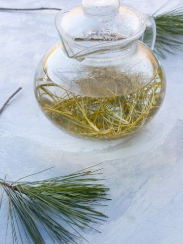 Pine needle tea in a teapot
