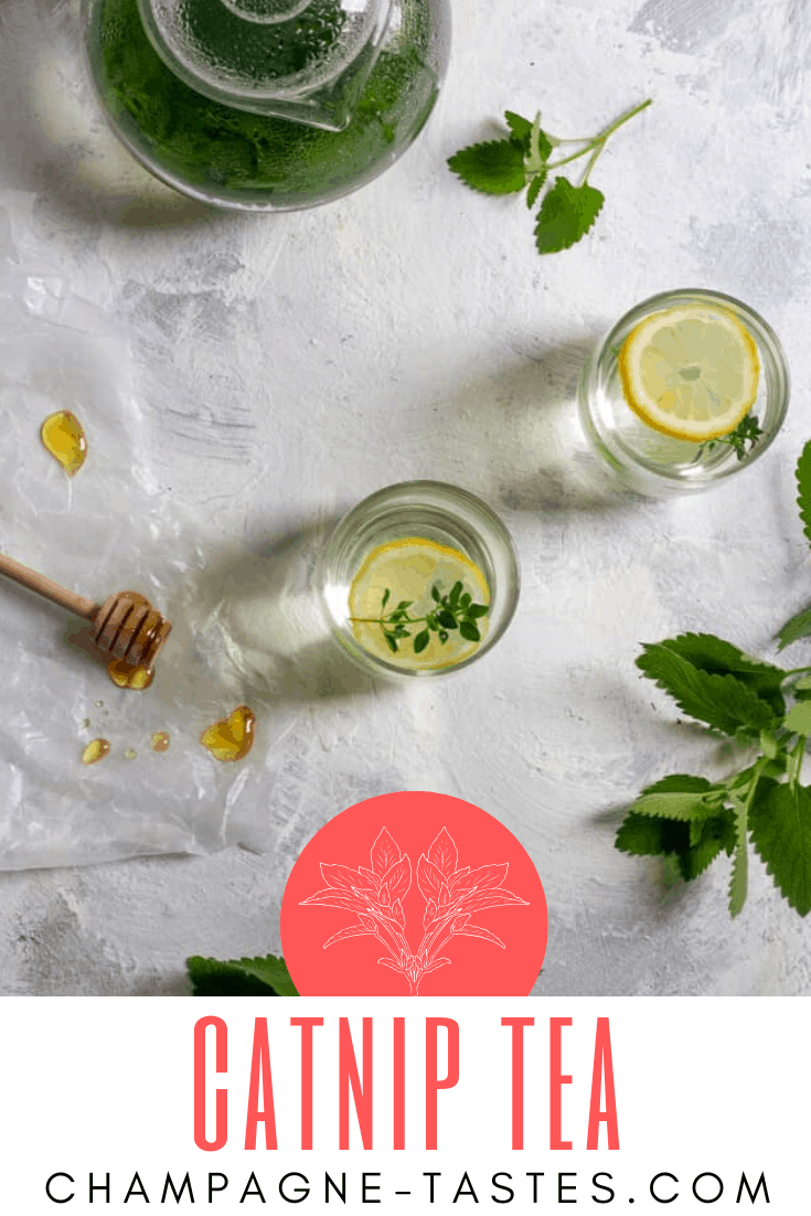 Catnip Tea An Easy Herbal Tea from the Garden Champagne Tastes®