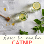 This quick and easy herbal catnip tea can be made with either fresh or dried catnip, and is a delicious way to use this fast-growing type of mint.