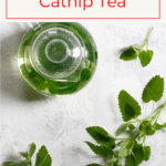 This quick and easy herbal catnip tea can be made with either fresh or dried catnip, and is a delicious way to use this fast-growing type of mint.