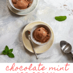 This mint chocolate ice cream is infused with fresh mint, and is an egg-free, extra-creamy summer treat. Inspired by Jeni’s Splendid Ice Cream!