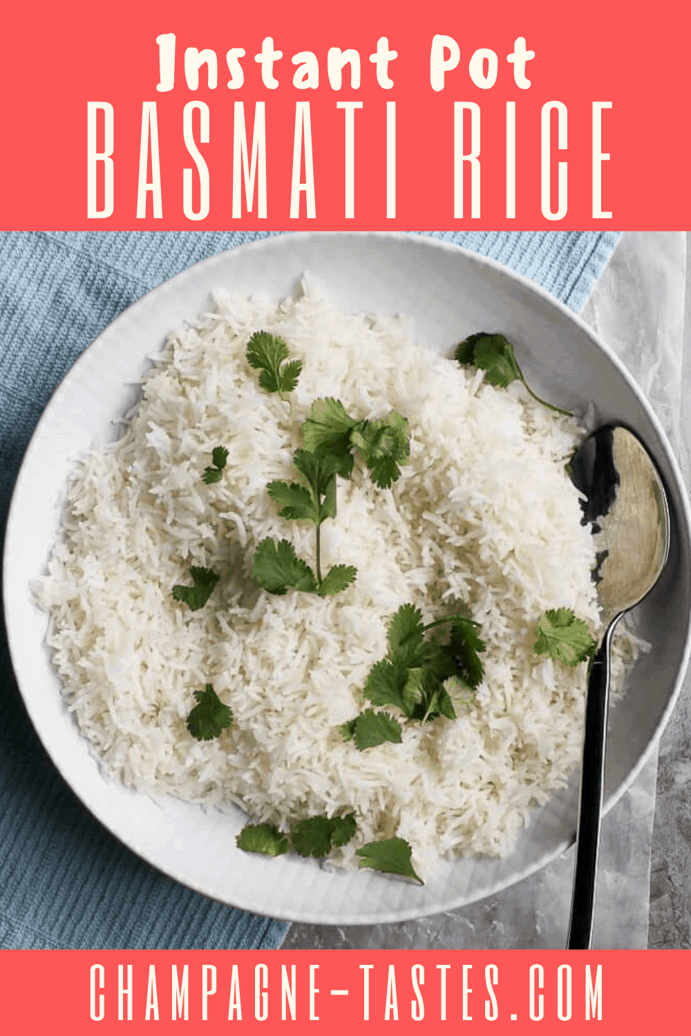 Instant Pot® Basmati Rice (Indian Style) Champagne Tastes®