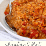 This vegan Instant Pot Dal with Red Lentils is an easy and delicious spiced red lentil dish. It can be served alone as a soup, or as a side dish along with rice.