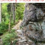 Are you planning to hiking in the Smokies? Check out my hiking tips, plus some of the best trails in the Great Smoky Mountains National Park.