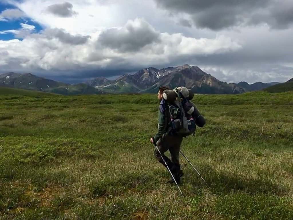 hiker in field with mountain in distance.