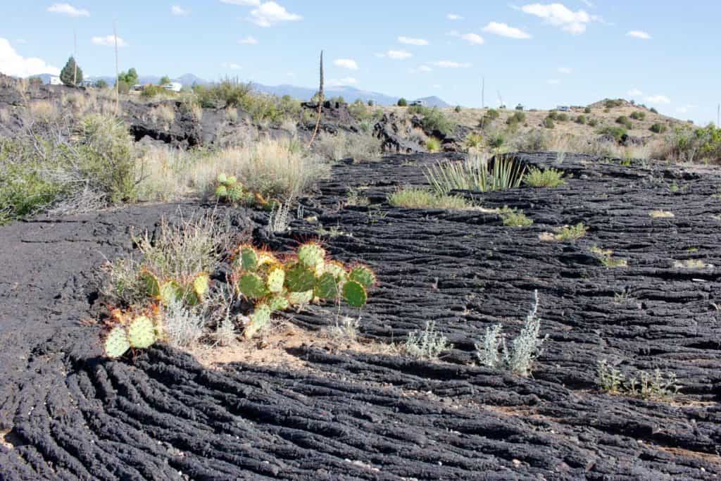 Lava Flow in the Valley of Fires