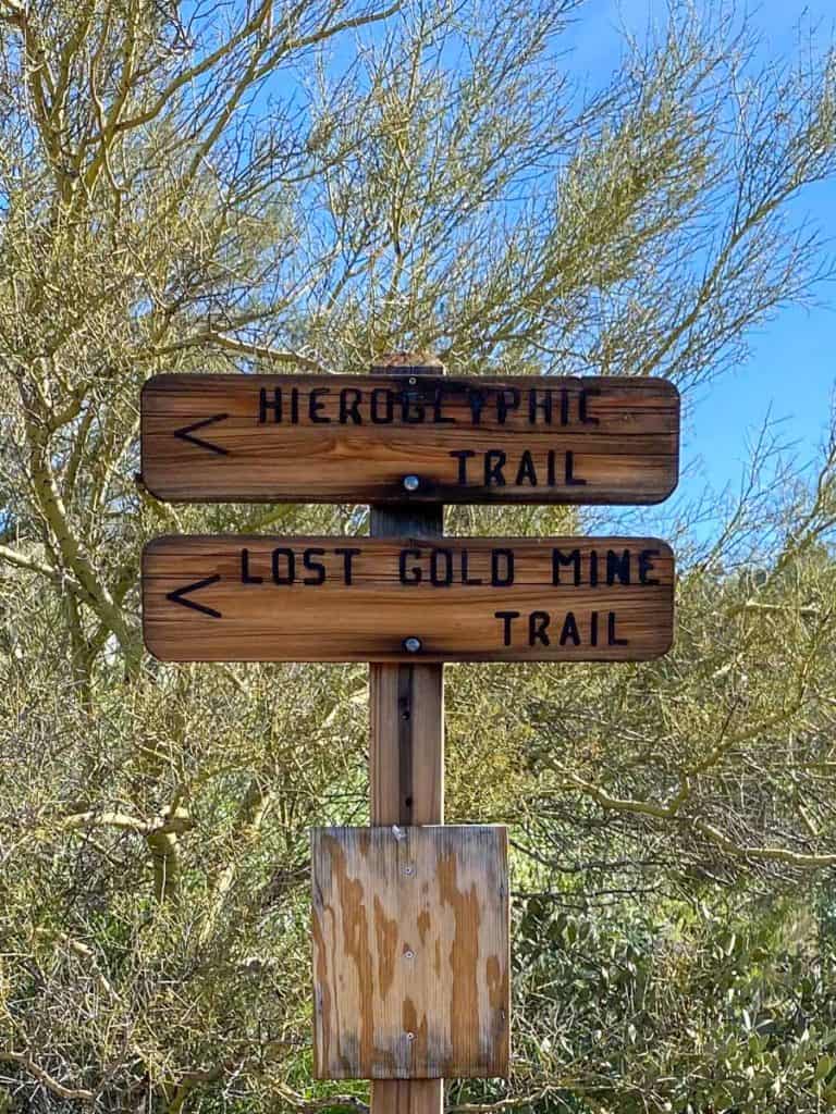 Lost Gold Mine + Hieroglyphic Trailhead
