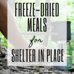 Shopping for easy, ready-made meals for backpacking or your emergency go-bag? These are my top picks for the best freeze-dried meals out there.