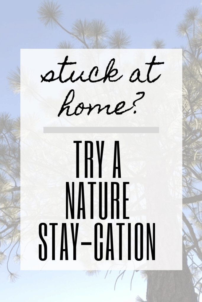 Want to enjoy nature, but you're stuck at home?  Here are some of our favorite nature staycation ideas to enjoy the great outdoors from home.