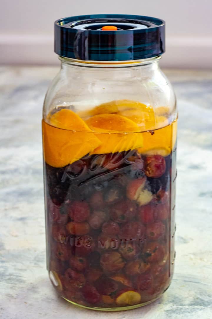 Fruit Vinegar (Fermented Homemade Vinegar) Champagne Tastes®