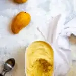 Mango Frozen Yogurt + Mangoes