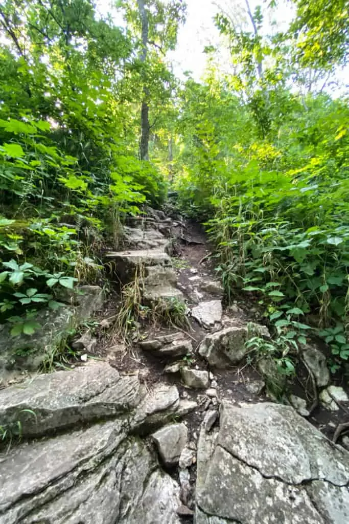 Rocky Path Along the Green Trail.
