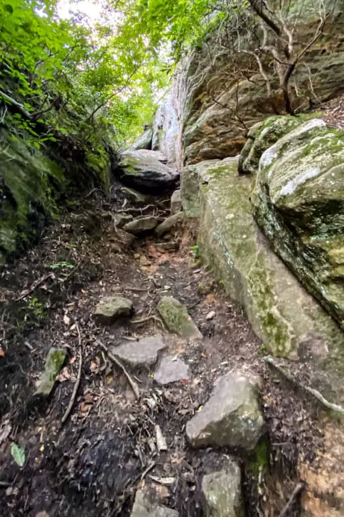 Rock Scramble Along the Path.