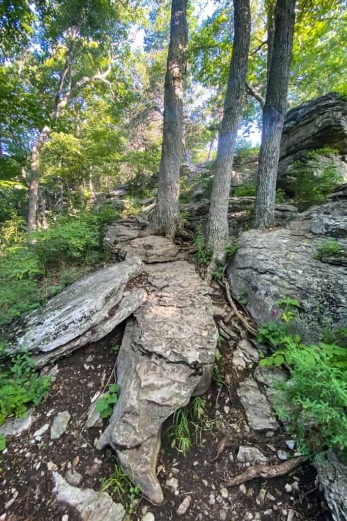 Rocky Path on West Pinnacle Trail