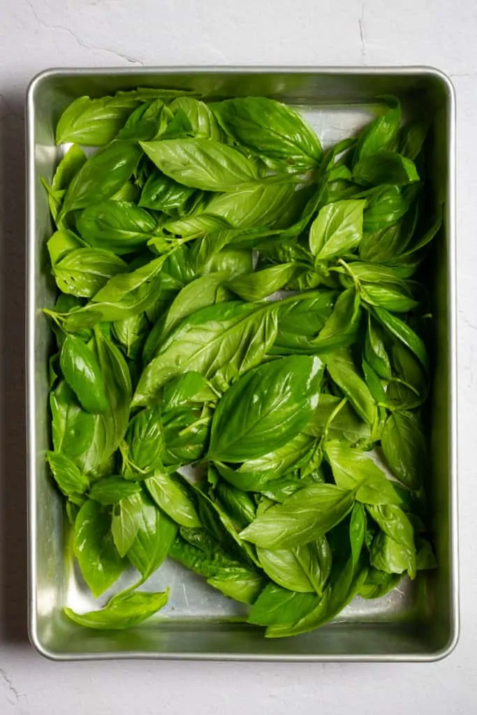 Freeze Basil in a Single Layer