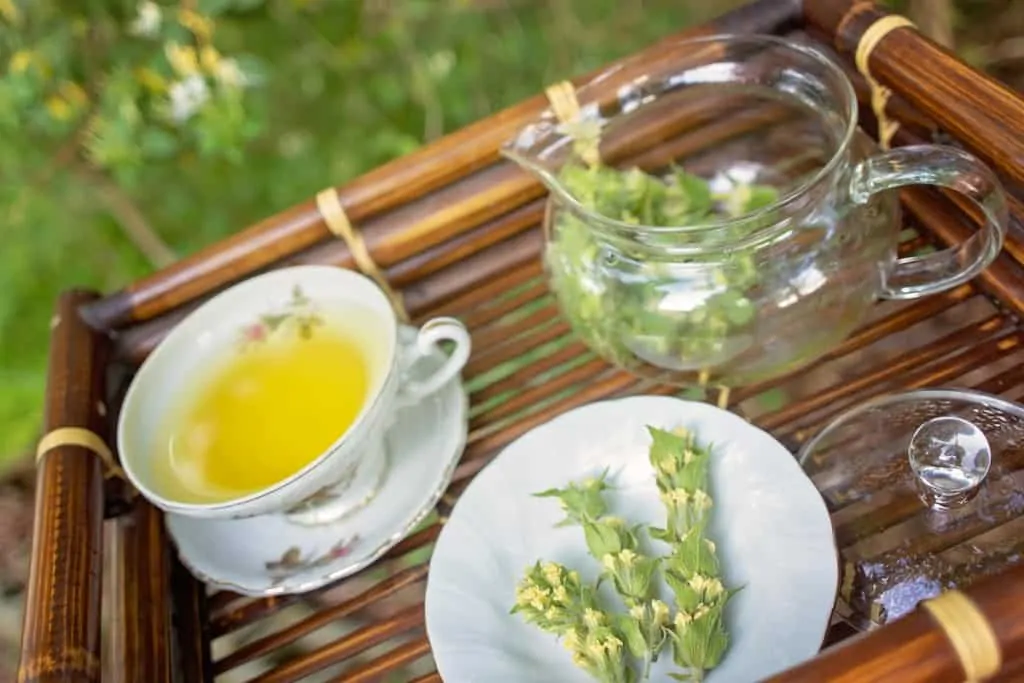 Steeping Herbal Tea with a Teapot