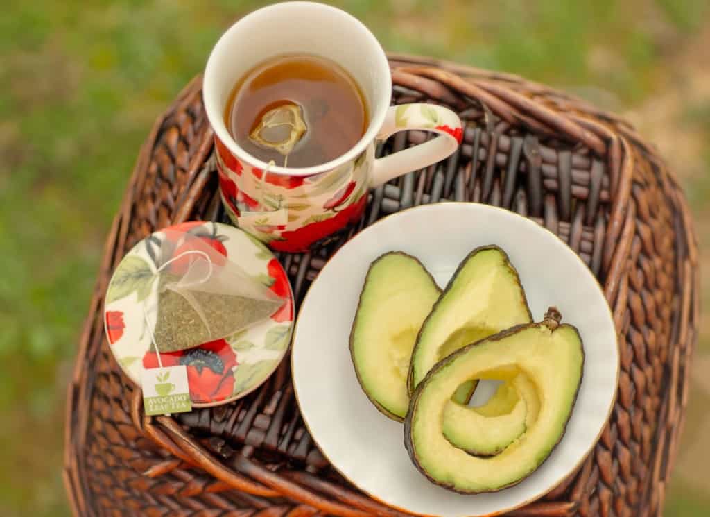 avocado leaf tea