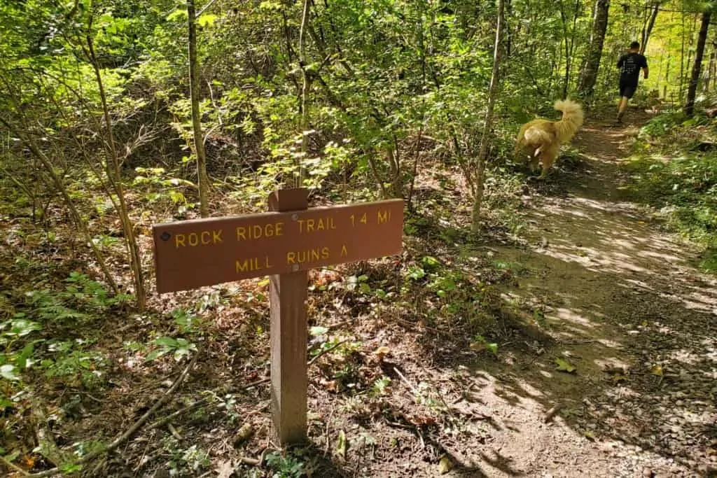 Rock Ridge Trail Junction