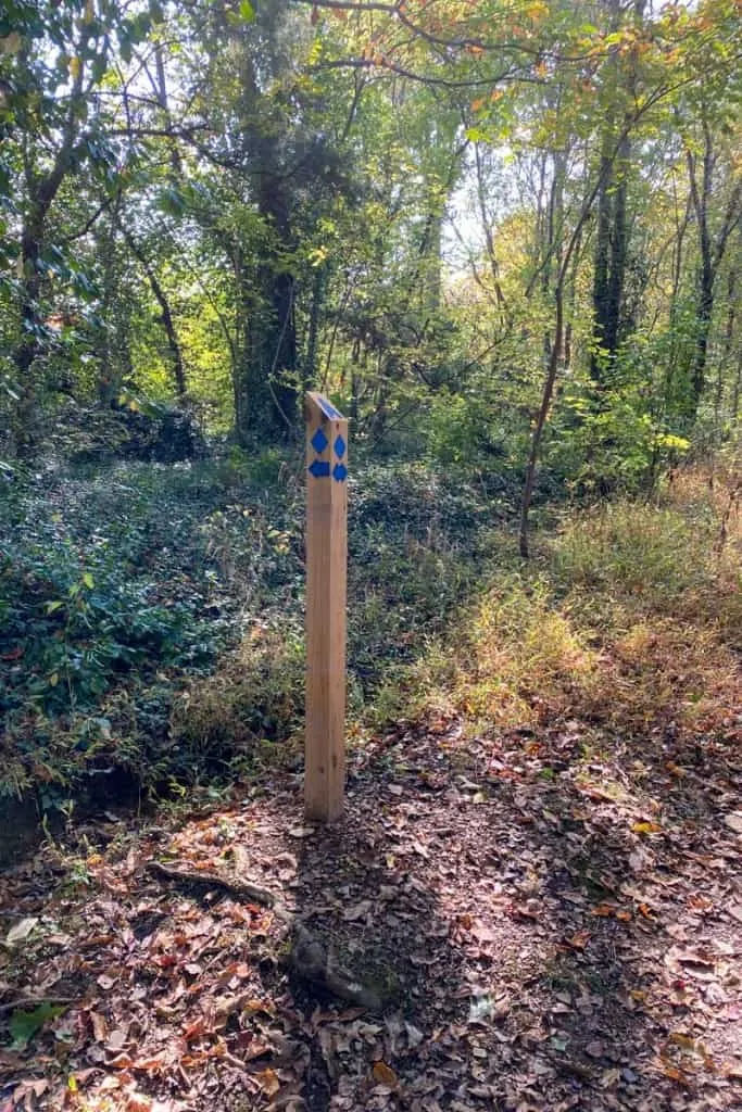 Blue Trail Marker