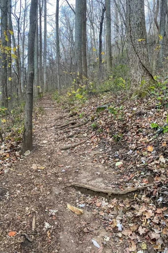 Steep Trail Ahead