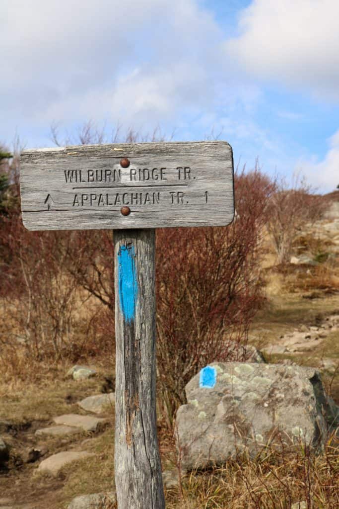 Wilburn Ridge Trail (Along the Appalachian Trail)