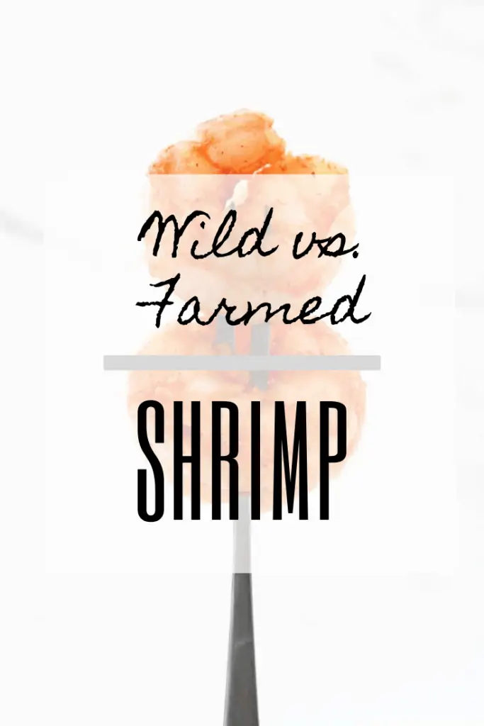 Shrimp on a fork with text box overlaid saying "Wild vs. Farmed Shrimp."
