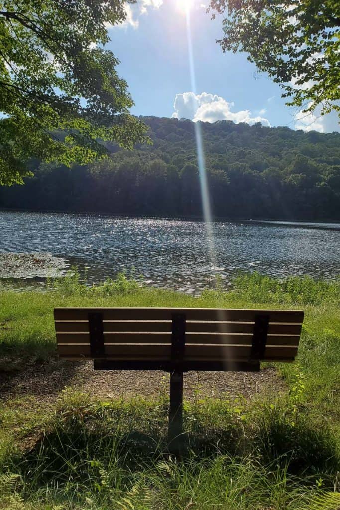 Bench facing lake and hillside