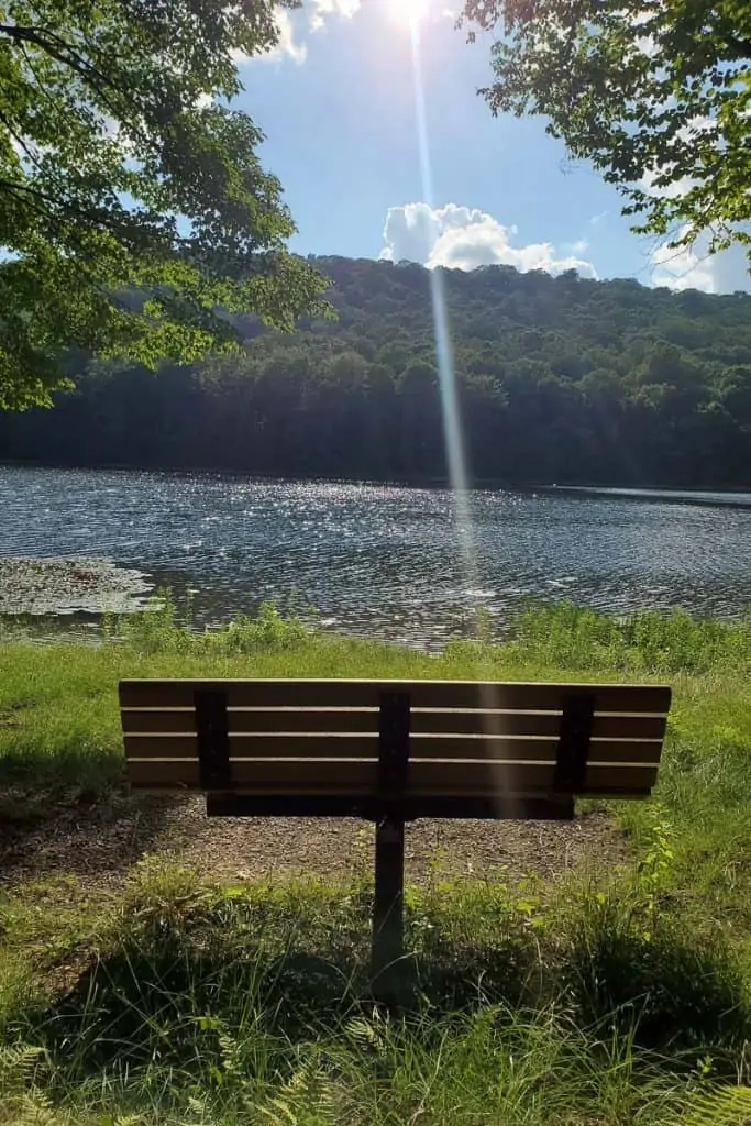 Bench facing lake and hillside.