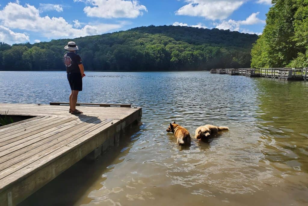 Man and dogs at edge of lake