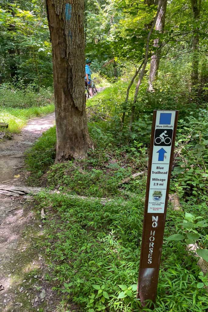 Trail Signs + Trail Blazes