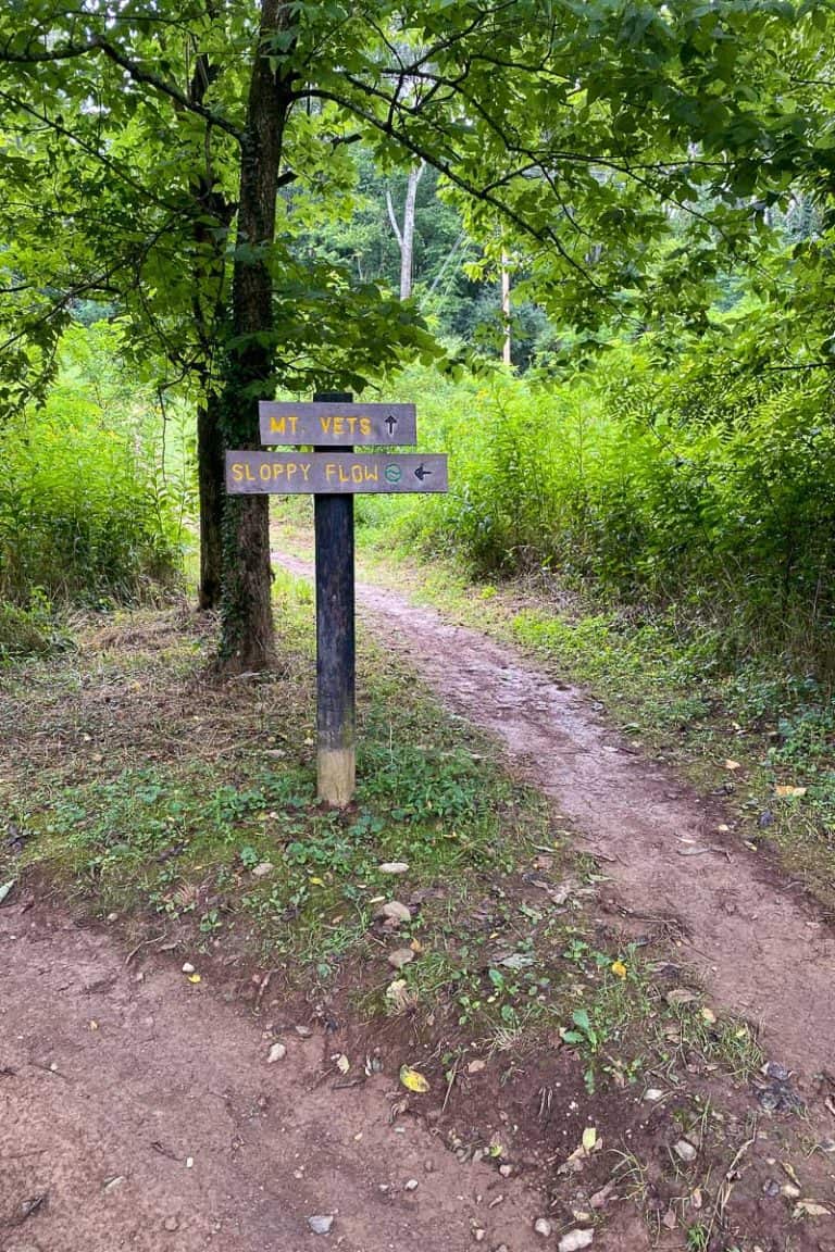 Veterans Park Mountain Bike Trails (Lexington, KY) Champagne Tastes®