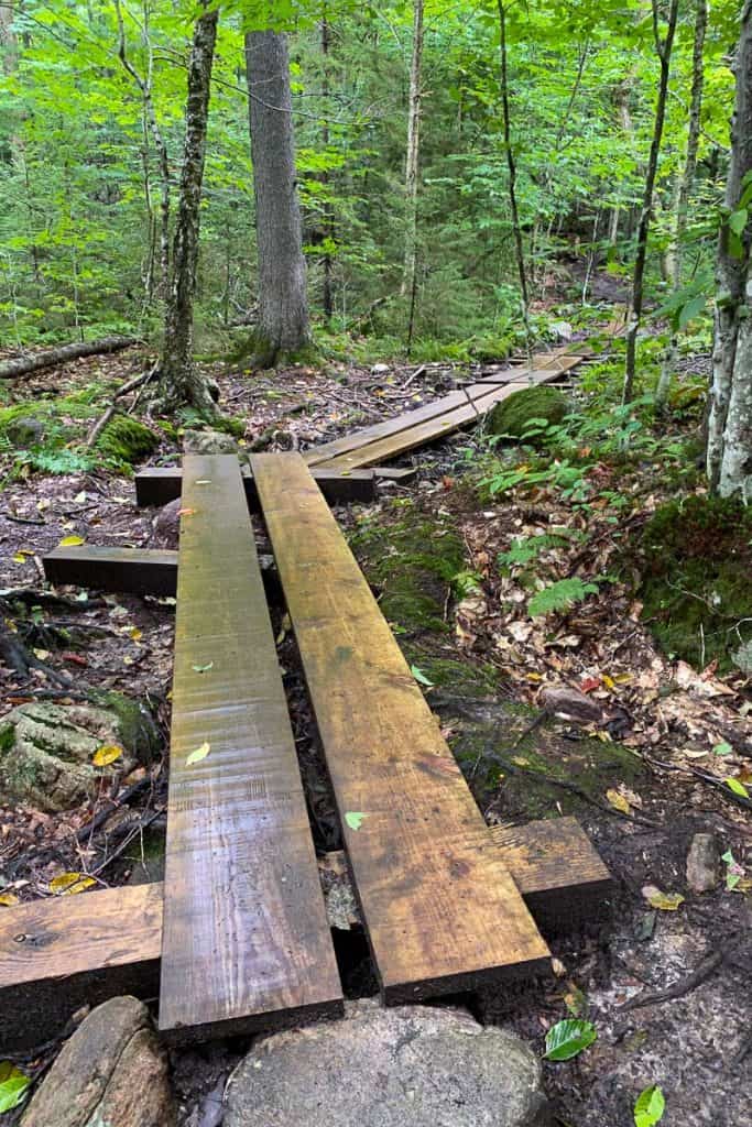 Wooden Planks on Bear Mountain Trail.