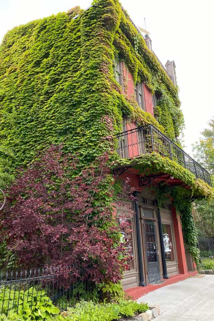 Ivy-Covered Building.