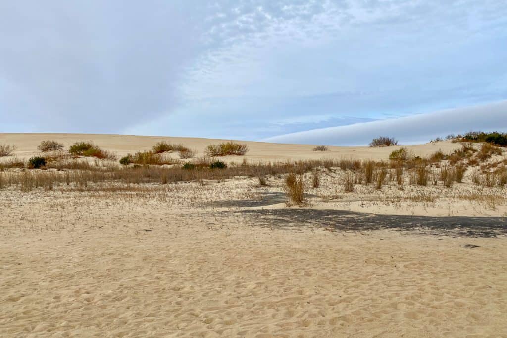 Sand Dunes at Jockeys Ridge.
