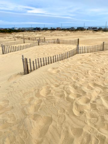 sand dunes at jockey's ridge.