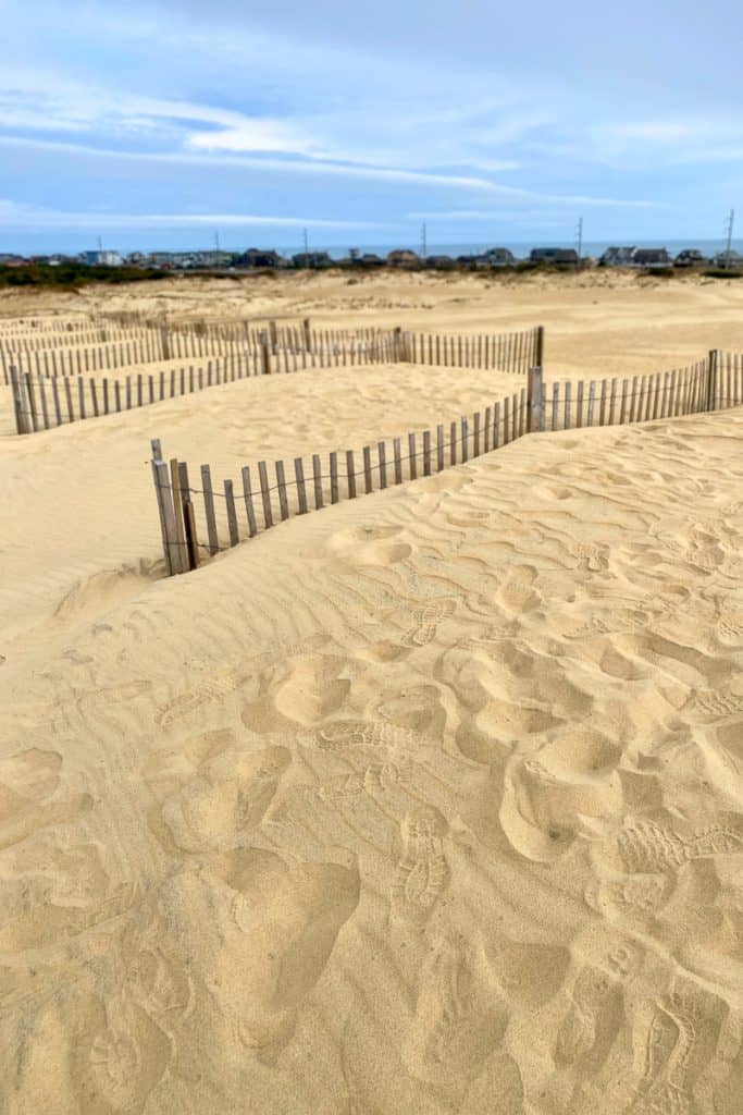 sand dunes at jockey's ridge.